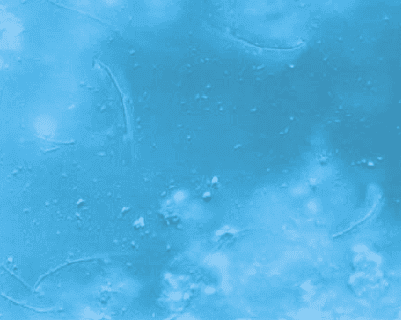 纯氧曝气